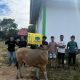 Momentum Eid Al-Adha 1446 H, PC PMII Pohuwato Tebar Kebaikan Untuk Masyarakat
